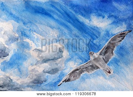Seagull In The Sky