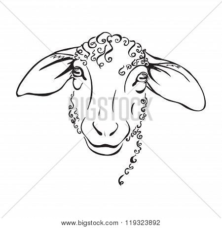 Head Sheep Black And White Illustration