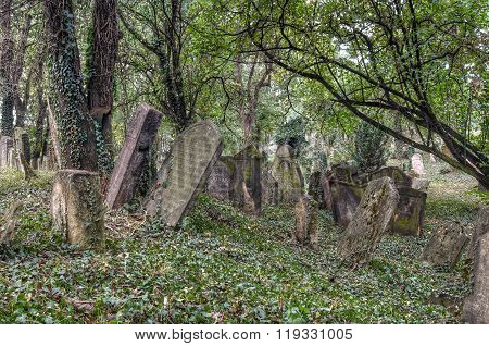 The Old Jewish cemetery at Kolin - one of the oldest landmarks of that kind in Bohemia
