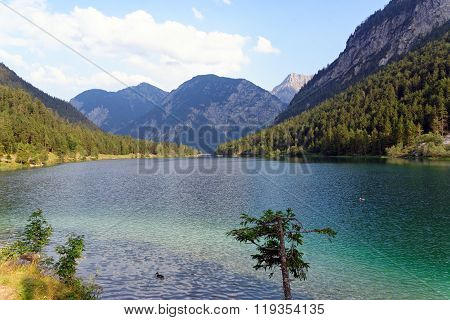 Plansee lake in the Alps mountain Austria.