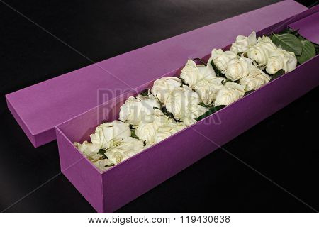 White Roses In Gift Purple Souvenir Box, Place The Logo On A Black Studio Background, Spring Is Comi