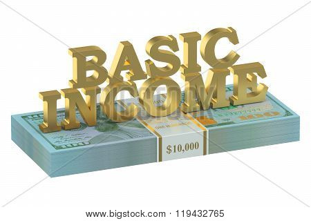 Usa Basic Income Concept