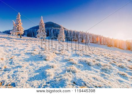 Fabulous Winter Landscape