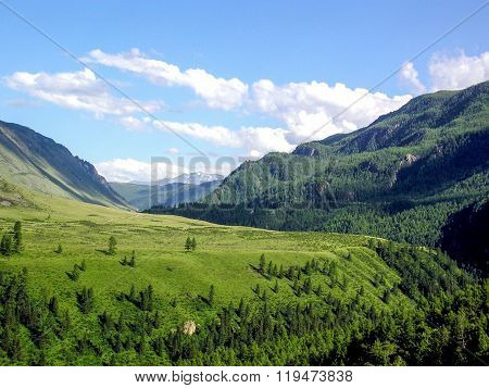 Landscape panorama view of field on mountain