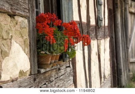 Halftimbered