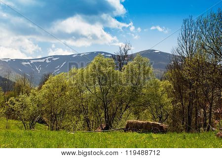 Landscape Of Mountains And Suburban Life