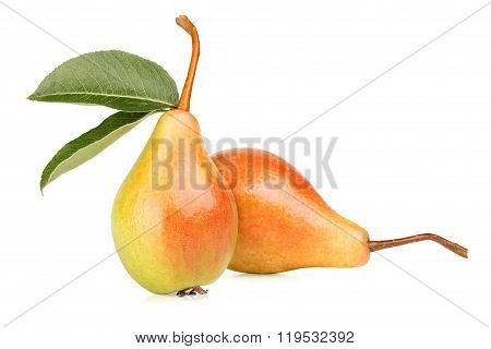 Ripe pears with leafs