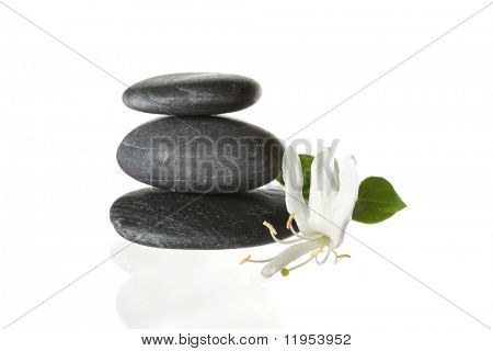 堆积的石头与花