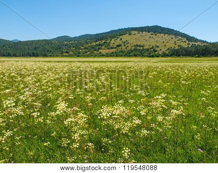 Petelinje intermittent lake in dry summer season
