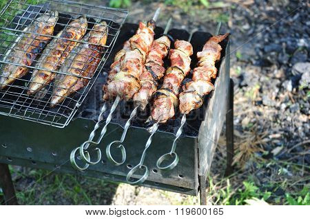 Shish Kebab, Dof