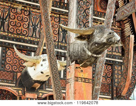 Carved Buffalo Head Decoration On Tongkonan Traditional House