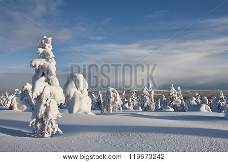 Sunny winter landscape in Lapland