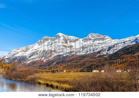 Golden Autumn In Engadin