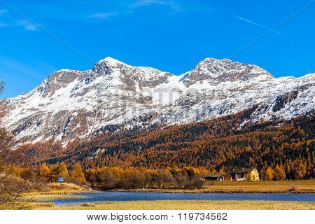 Golden Autumn In Engadin