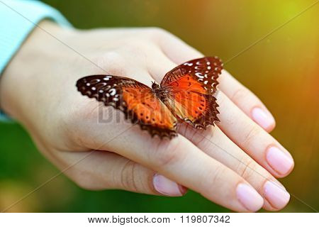 Beautiful colorful butterfly sitting on female hand, close-up