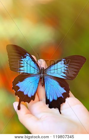 Beautiful colorful butterfly sitting on female hand, close-up