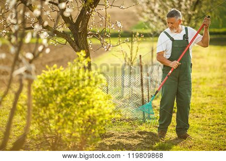 Portrait of a handsome senior man gardening in his garden, on a lovely spring day (color toned image)
