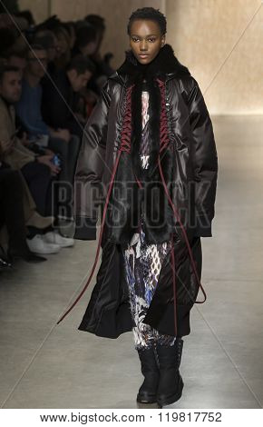 Dkny - Fall Winter 2016 Collection