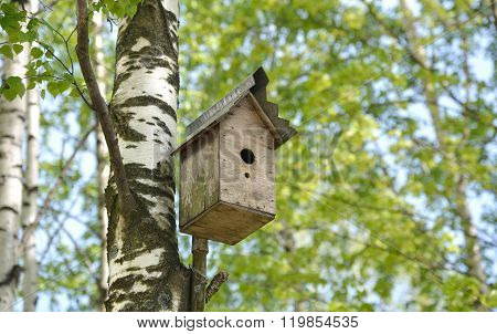 Old Bird House.