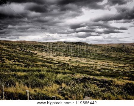 Atmospheric Moorland