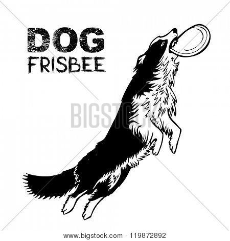 Dog frisbee sports, vector illustration