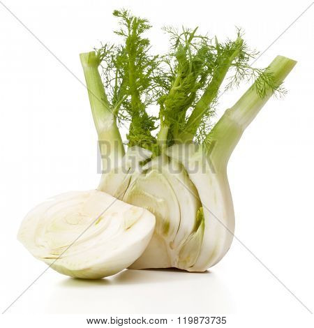 Fresh fennel bulb isolated on white background close up