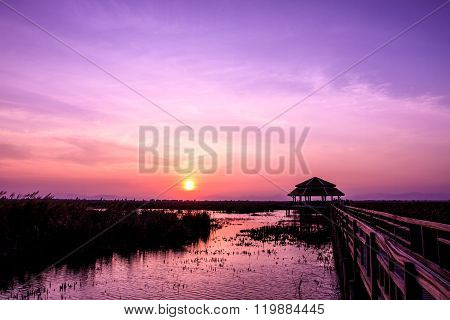 Wooden Bridge In Lotus Lake On Sunset Time