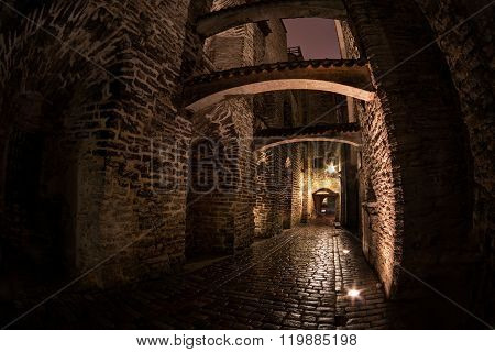Katariina Kaik (st. Catherine's Passage) - Half-hidden Walkway In Old Town Of Tallinn, Estonia