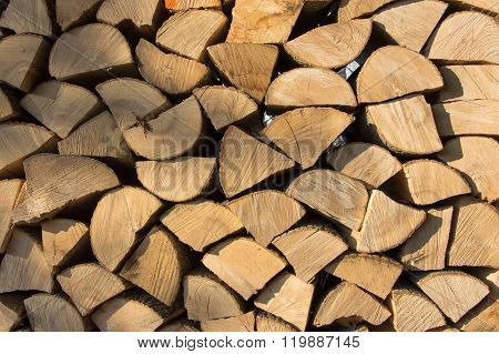 Dry, Cracked Tree, Ready For Firewood In Winter