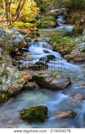 Mountain stream in the Lepena valley in Slovenia