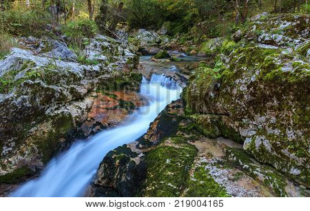 Mountain stream in the Lepena valley in Slovenia
