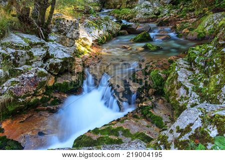Mountain stream in the Lepena valley in Slovenia
