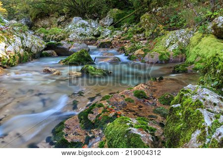 Mountain stream in the Lepena valley in Slovenia