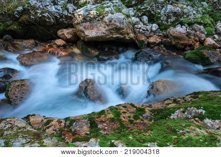 Mountain stream in the Lepena valley in Slovenia