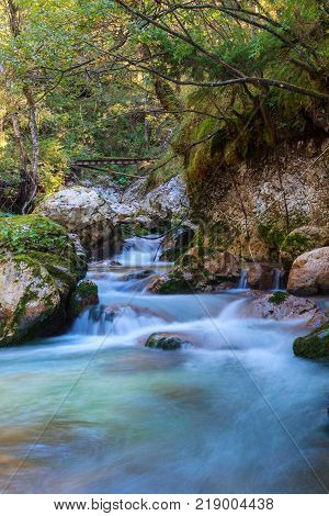 Mountain stream in the Lepena valley in Slovenia