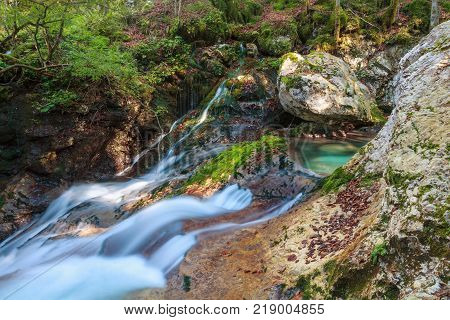 Mountain stream in the Lepena valley in Slovenia