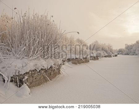 Christmas fairy tale snow scenary. Ice on the river is covered with snow. Winter cloudy landscape with frost on branches of the willow trees on the river shores.
