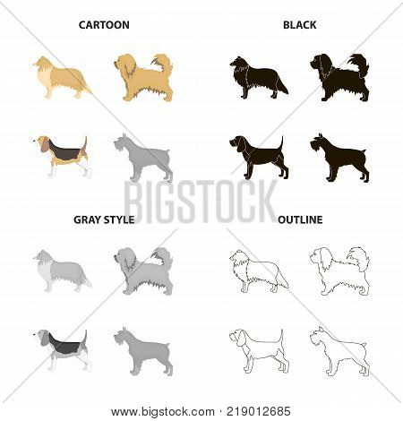 Pointer, dog collie, scottish shepherd, riesen, schnauzer, breed pekingese.Dog breeds set collection icons in cartoon black monochrome outline style vector symbol stock illustration .