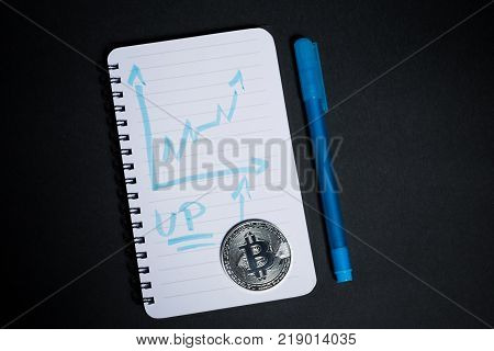 Bitcoin And Small Notebook With Growing Chart