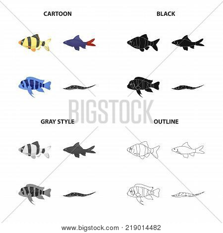 Different types of aquarium and sea fish, barbeque, stingray. A fish set collection icons in cartoon black monochrome outline style vector symbol stock illustration .