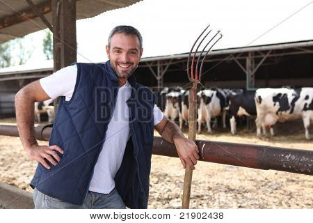 çiftçi cowshed önünde bir hayfork ile