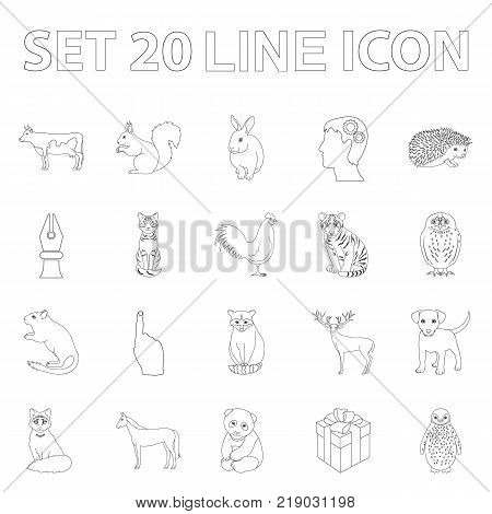 Realistic animals outline icons in set collection for design. Wild and domestic animals vector symbol stock  illustration.