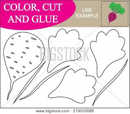 Color cut and glue to create the image of beet (vegetable). Educational game for children. Vector illustration.