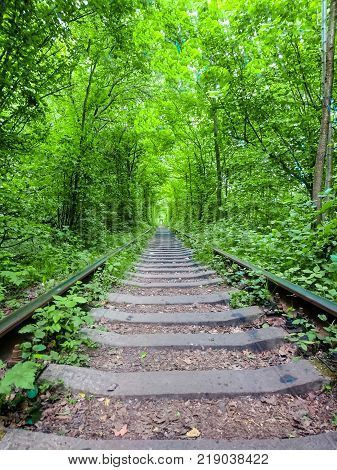 Love Tunnel