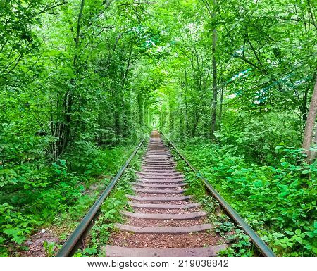 Love Tunnel