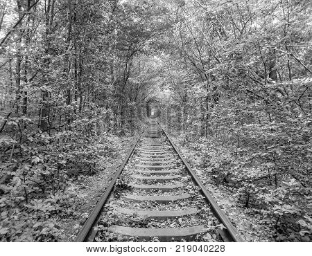 Love Tunnel