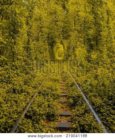 Love Tunnel