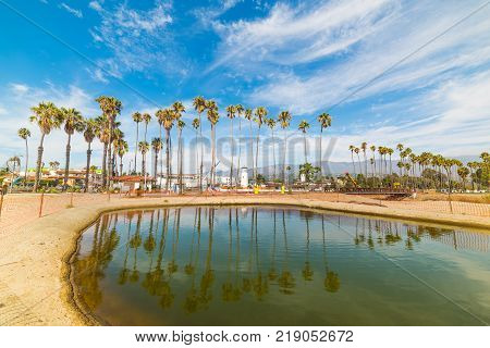 Palm trees reflected on the water in Santa Barbara shore California