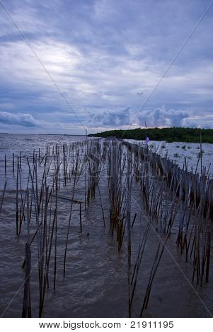 Solnedgangen på Bang Pu Seaside