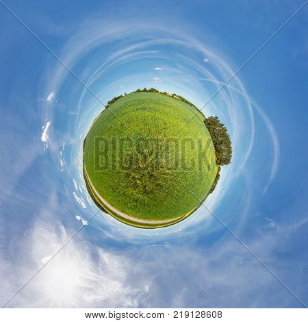 Little planet. Spherical view in a field near a road with rapeseed in sunny day
